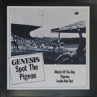 Spot The Pigeon cover front